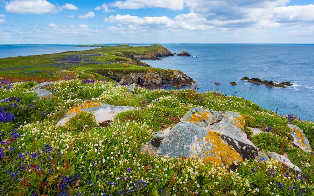 Sur – Este de Irlanda